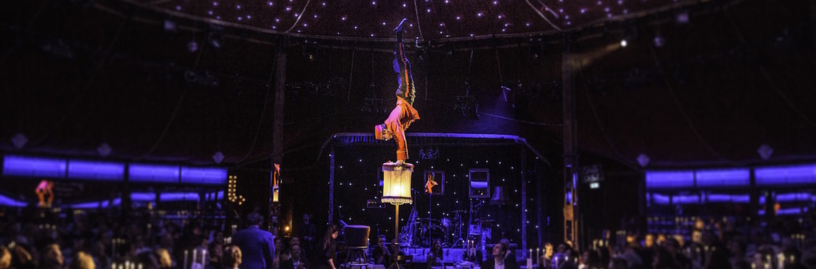 COMEDY HANDSTAND ACT & COMEDY AERIAL ACT - Performing Arts Acts - StageLync